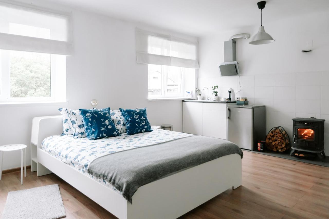 Lake Aluksne Studio Apartment Exterior photo